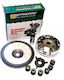 W Standard Kupplungskit Für Gy6 50 Variator Mit Zahnrad Set