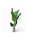 Plantă Artificială Decorativă Verde Musa 120cm – Senzație Naturală Fără Întreținere K125