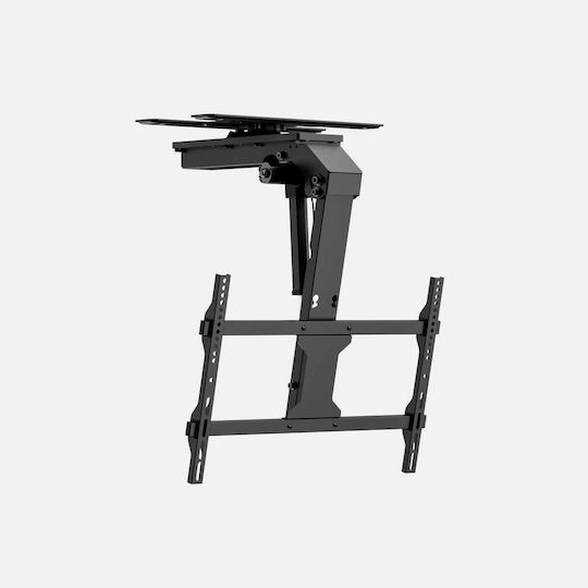 Techly Ica-plb Таванна стойка за телевизор до 75" и 45 kg