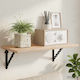 vidaXL Heavy-Duty Shelf Brackets Made of Stainless Steel in Black Colour 210x210mm 12 Pieces 42038932
