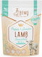 Dog Food 1kg Dry Dog Food for Puppies of Small & Medium Breeds with Lamb