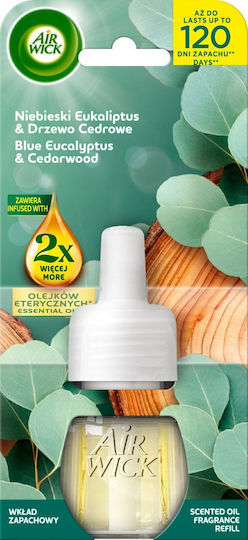 Air Wick Ätherische Öle Ersatz Für Elektrischen Raumduft Blau Eukalyptus Zedernholz 19 Ml