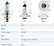 Trifa H4 Xenon Autolampe 12V
