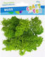 Craft with Fun Craft Fabric 20gr In Green Colour