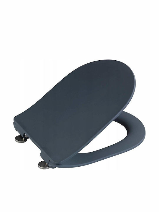 Wenko Toilet Seat Soft Close with Bidet Plastic Grey