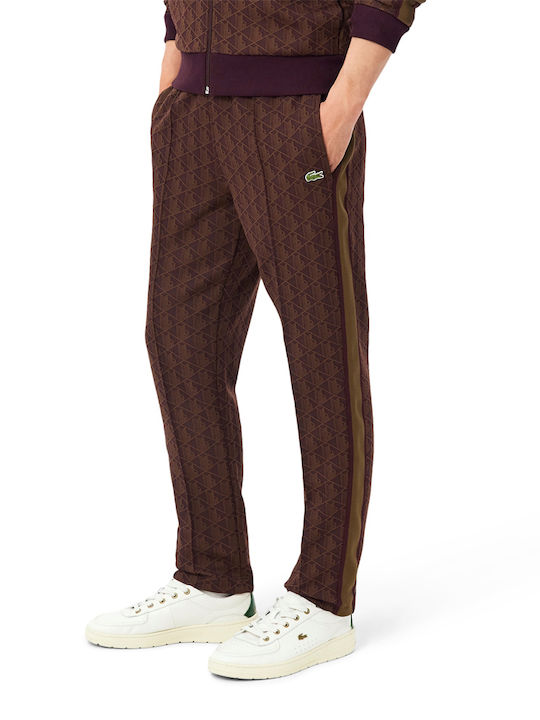 Herren-Sweatpants Burgundisch-Haki
