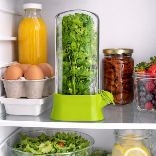 Suport Pentru Menținerea Prospătății Plantelor În Frigider Recipient Cu Capac Transparent Sistem De Hidratare Pentru Menținerea Prospătății Plantelor Design Modern Pentru Bucătărie Reutilizabil Ușor De Utilizat 27x13 Cm Verde Pristyle
