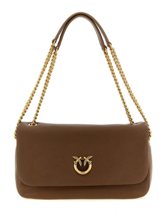 Pinko Leather Women's Shoulder Bag Brown
