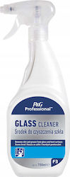 Mr. Proper Професионален Почистващ Течен за Стъкла 750ml Mr. Proper Професионален Почистващ Течен за Стъкла 750ml