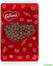 Dr Gerard Μπισκότα με Επικάλυψη 850gr