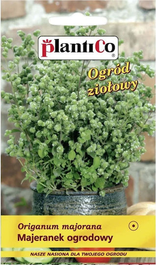 Polan Marjoram Seeds 0.5gr