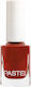 Pastel Glossy Long Lasting Nail Polish No 904 13ml