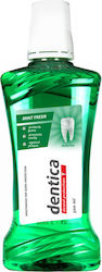 Tolpa Für Gingivitis 500ml Tolpa Für Gingivitis 500ml