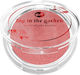 Bell Rouge & Blush Rote Rose