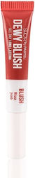 Pastel Pastel Flüssiges Rouge 706 Rizz 10ml Pastel Pastel Flüssiges Rouge 706 Rizz 10ml