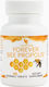Forever Bee Propolis 60 Chewable Tablets