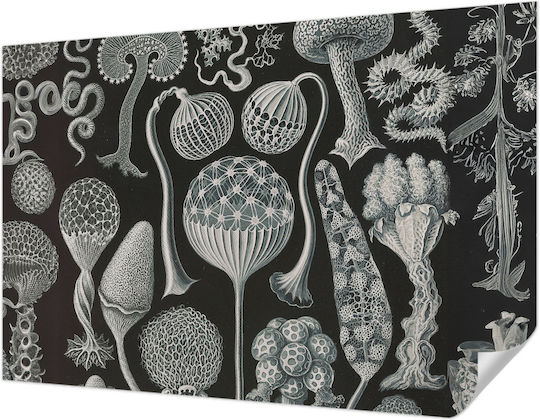 Selbstklebende Tapete Wand 104x70cm