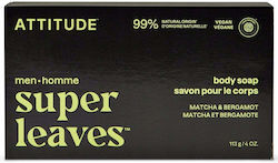 Attitude Μπάρα Σαπουνιού 113gr Attitude Μπάρα Σαπουνιού 113gr