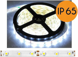 Eco Light Waterproof LED Strip Cold White Light 5m SMD2835 Eco Light Waterproof LED Strip Cold White Light 5m SMD2835