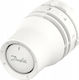 Danfoss Thermostatkopf Redia Rtd Eingebauter Sensor 0