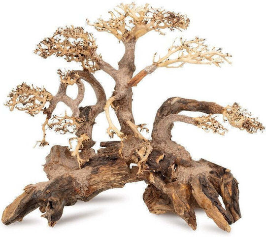 Norimpex Aquariendekorationen Bäumchen Bonsai Nr 59 80x50