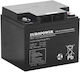 Europower UPS Battery with Capacity 42Ah and Voltage 12V