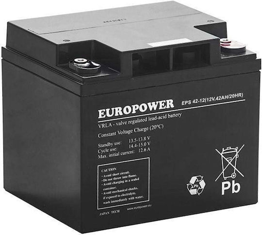 Europower UPS Battery with Capacity 42Ah and Voltage 12V