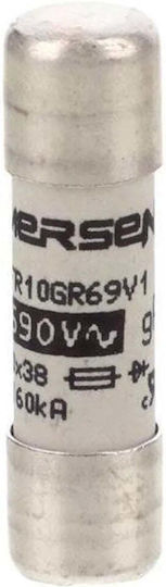 Mersen Sicherung Zylindrisch Keramik 10x38mm 1A L1014563 10 Stück