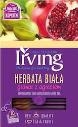 Irving Λευκό Τσάι 20 Φακελάκια 1.5gr Irving Λευκό Τσάι 20 Φακελάκια 1.5gr
