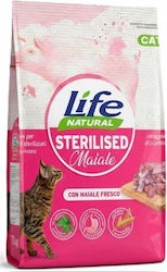 Dry Cat Food for Neutered Cats with Pork / Meat / Ham 7.5kg Dry Cat Food for Neutered Cats with Pork / Meat / Ham 7.5kg