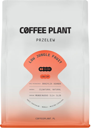 Coffee Plant Kaffee Filter Low Jungle Fruit Filter Schokolade in Körner 250g