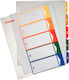 Esselte Transparent File Folder for A4 Paper Red