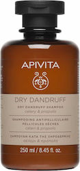 Apivita Dry Dandruff Σαμπουάν Kατά της Πιτυρίδα...