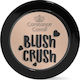 Constance Carroll Crush Rouge & Blush Kakaobraun