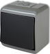 Karlik Karlik Wandschalter Glocke in Grau Farbe 30WHE-4