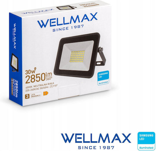 Wellmax Proiector LED etanș 30W Alb Natural 4000K IP65