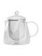 Hario Teapot with Filter Glass 700ml
