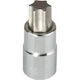 Pro-line Biton Steckschlüssel 1/4" T25 Καρυδάκι Κατσαβιδιού Torx Silber