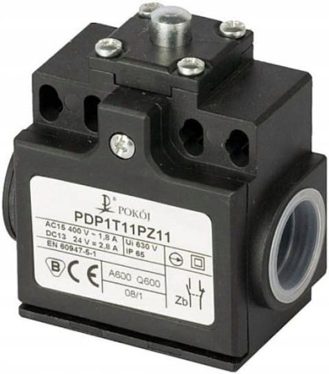 Pokój Terminal Switch 2 No Slow Plastic Lever Roller Ø18 Pap1t41pw20 A37-1085