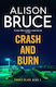 Crash And Burn Alison Bruce Constable