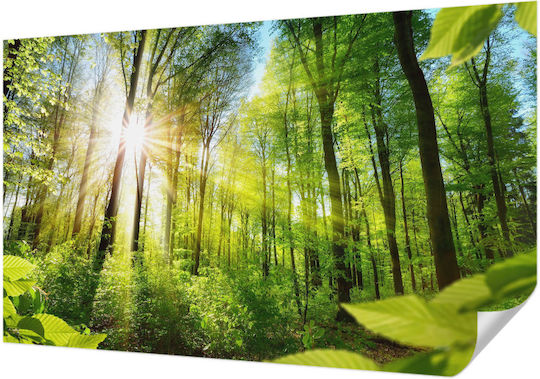 Self-Adhesive Wall Wallpaper 416x254cm