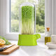 Sprouter Microgreens Capac Transparent Mini Seră pentru Cultivare Acasă Suport pentru Creștere Germeni Ierburi Aromatice Salate Proaspete Design Modern Ușor de Utilizat de Întreținut 27x13 Cm Verde PriStyle