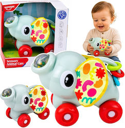 Lean Toys Baby Aktivitätsspielzeug Für 18+ Monate