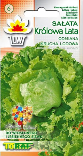 Toraf Samen Kopfsalat Salata Krolowa Jahr 1g