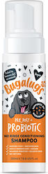 Bugalugs Bugalugs
