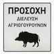 Ce Πινακίδα Αλουμινίου 'προσοχή Διέλευση Αγριογούρουνων' 65x65cm 008393