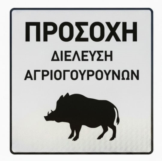 Ce Πινακίδα Αλουμινίου 'προσοχή Διέλευση Αγριογούρουνων' 65x65cm 008393