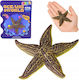 Lean Toys Miniature Toy for 3+ Years 9.5cm