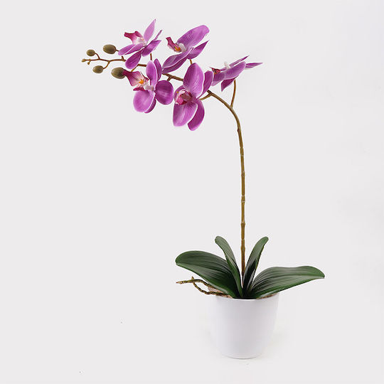 Διακοσμητικό Φυτό Γλάστρα Οrchid Beauty Inart 30x13x46εκ