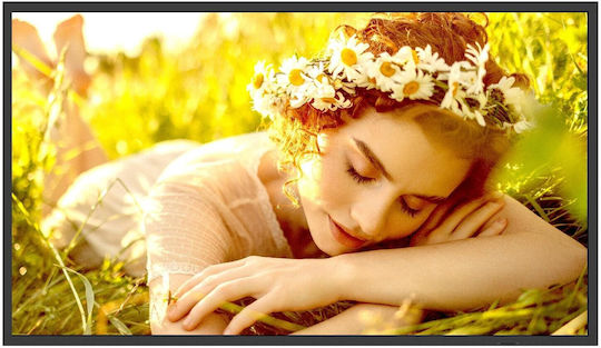 LG 32UL5Q-M Öffentliche Anzeigetafel 32 Zoll LCD 4K UHD